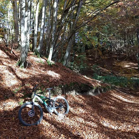 Dolomiti Experience, Hike, Bike&relax * Feltre