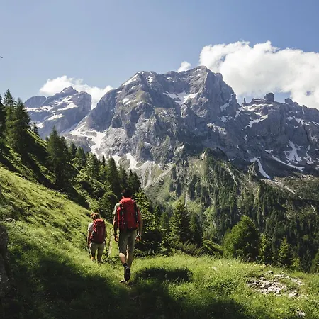 Dolomiti Experience, Hike, Bike&relax Apartament Feltre