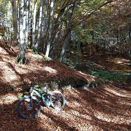 Dolomiti Experience, Hike, Bike&relax * Feltre